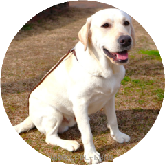 ウィリアム④ 20240212